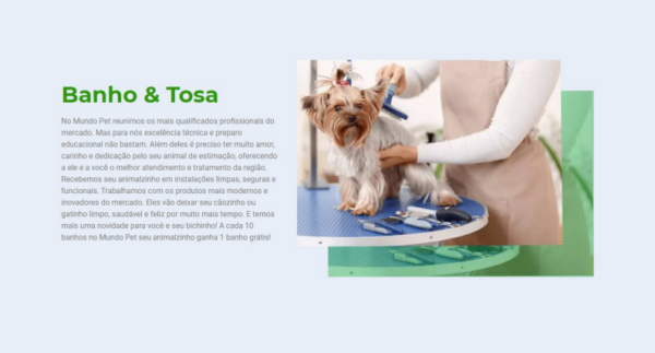 Site para PetShop - Image 3